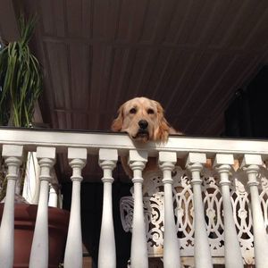 Meet your Posher, Cassy